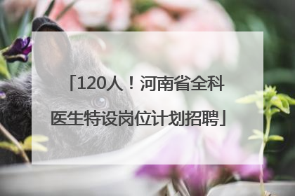 120人！河南省全科医生特设岗位计划招聘
