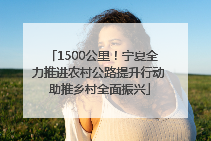 1500公里！宁夏全力推进农村公路提升行动 助推乡村全面振兴