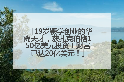 19岁辍学创业的华裔天才，获扎克伯格150亿美元投资！财富已达20亿美元！