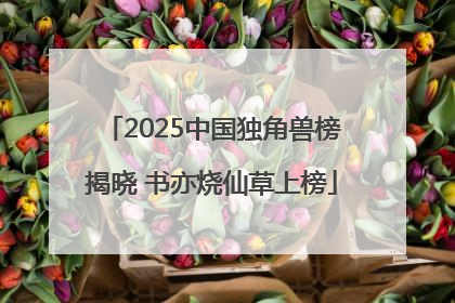 2025中国独角兽榜揭晓 书亦烧仙草上榜