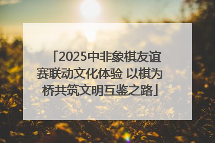 2025中非象棋友谊赛联动文化体验 以棋为桥共筑文明互鉴之路
