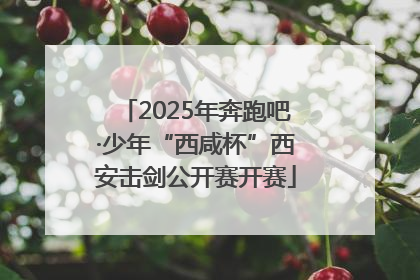 2025年奔跑吧·少年“西咸杯”西安击剑公开赛开赛