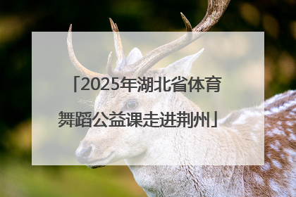 2025年湖北省体育舞蹈公益课走进荆州