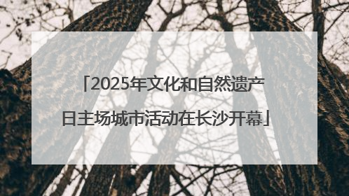 2025年文化和自然遗产日主场城市活动在长沙开幕