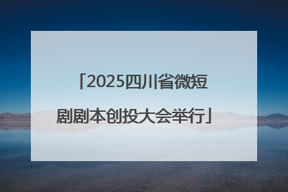 2025四川省微短剧剧本创投大会举行