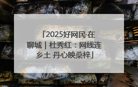2025好网民·在聊城｜杜秀红：网线连乡土 丹心映桑梓