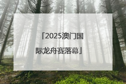2025澳门国际龙舟赛落幕