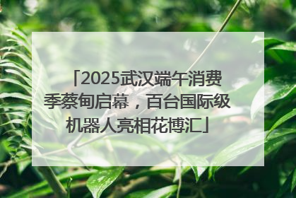 2025武汉端午消费季蔡甸启幕，百台国际级机器人亮相花博汇