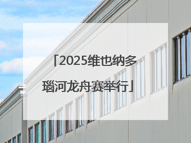 2025维也纳多瑙河龙舟赛举行