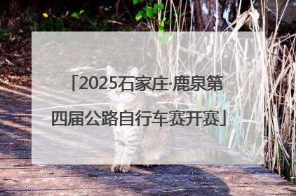 2025石家庄·鹿泉第四届公路自行车赛开赛