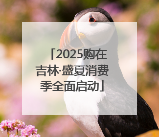 2025购在吉林·盛夏消费季全面启动