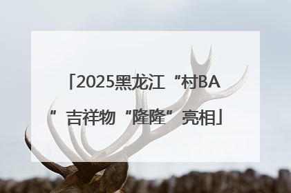 2025黑龙江“村BA”吉祥物“隆隆”亮相