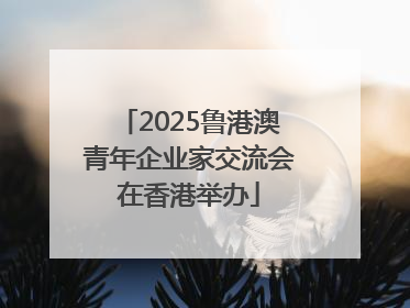 2025鲁港澳青年企业家交流会在香港举办