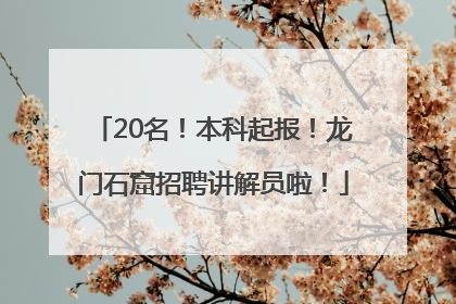 20名！本科起报！龙门石窟招聘讲解员啦！