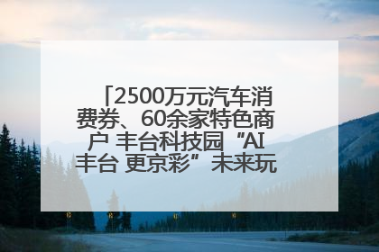 2500万元汽车消费券、60余家特色商户 丰台科技园“AI丰台 更京彩”未来玩家市集活动正式开幕