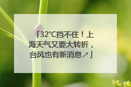 32℃挡不住！上海天气又要大转折，台风也有新消息↗
