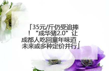 35元/斤仍受追捧！“成华猪2.0”让成都人吃回童年味道，未来或多种定价并行