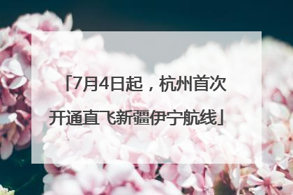7月4日起，杭州首次开通直飞新疆伊宁航线