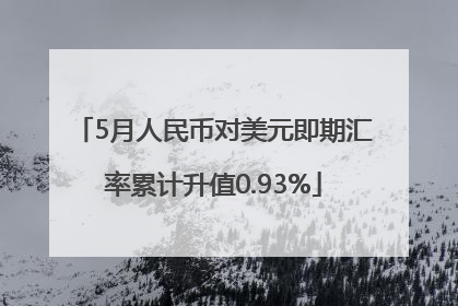 5月人民币对美元即期汇率累计升值0.93%