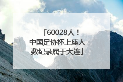 60028人！中国足协杯上座人数纪录属于大连
