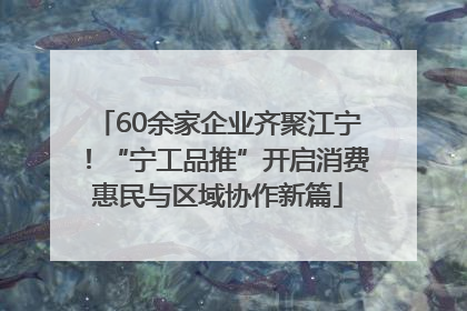 60余家企业齐聚江宁！“宁工品推”开启消费惠民与区域协作新篇