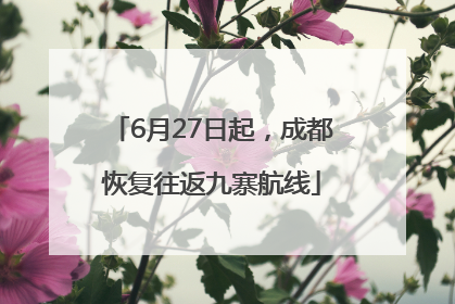 6月27日起，成都恢复往返九寨航线