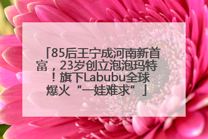 85后王宁成河南新首富，23岁创立泡泡玛特！旗下Labubu全球爆火“一娃难求”