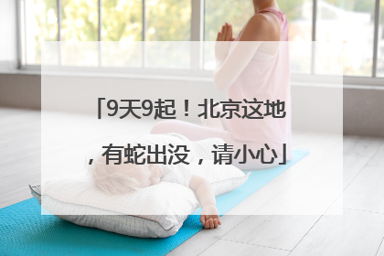 9天9起！北京这地，有蛇出没，请小心
