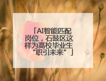 AI智能匹配岗位，石鼓区这样为高校毕业生“职引未来”