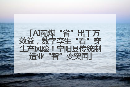 AI配煤“省”出千万效益，数字孪生“看”穿生产风险！宁阳县传统制造业“智”变突围