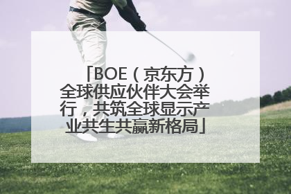 BOE（京东方）全球供应伙伴大会举行，共筑全球显示产业共生共赢新格局