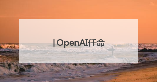 OpenAI任命了一位新CEO