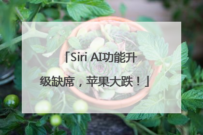 Siri AI功能升级缺席，苹果大跌！